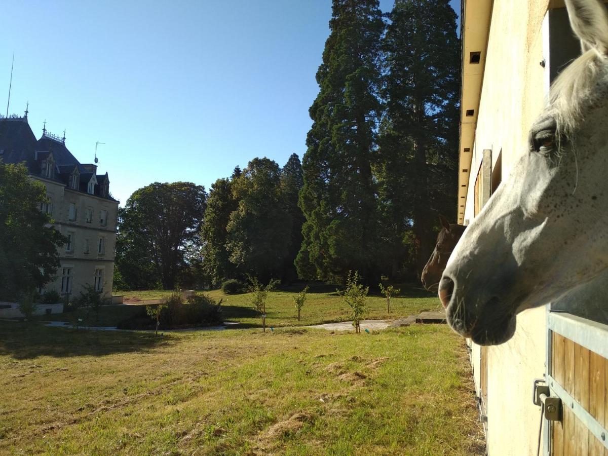 Hotel Chateau De St Alyre Sanssat Zewnętrze zdjęcie