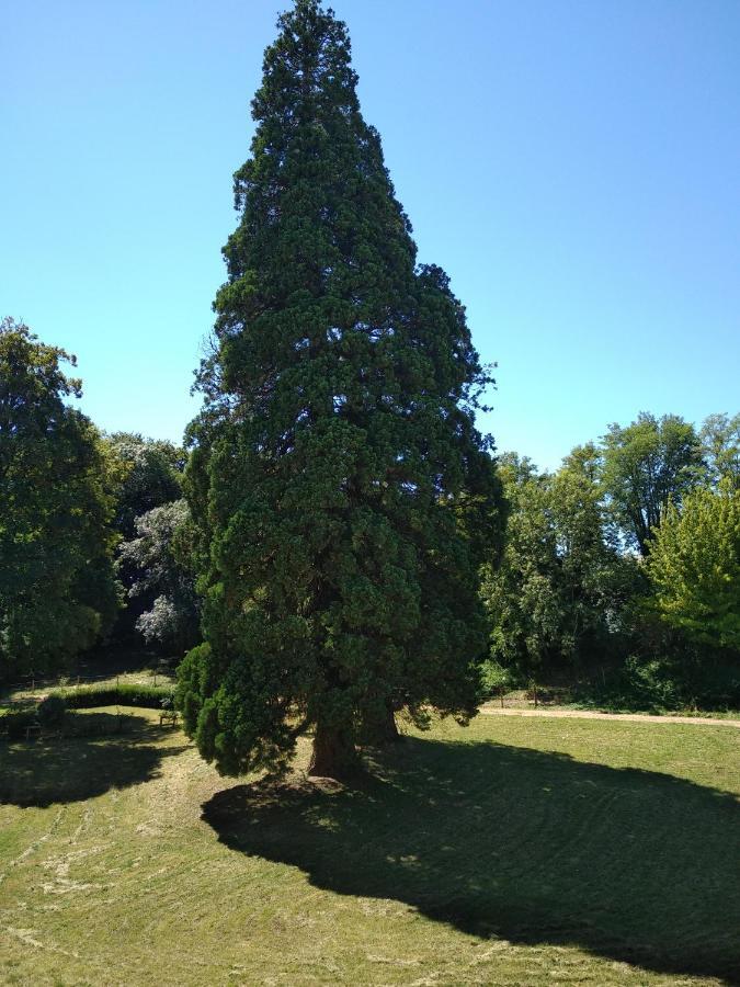 Hotel Chateau De St Alyre Sanssat Zewnętrze zdjęcie